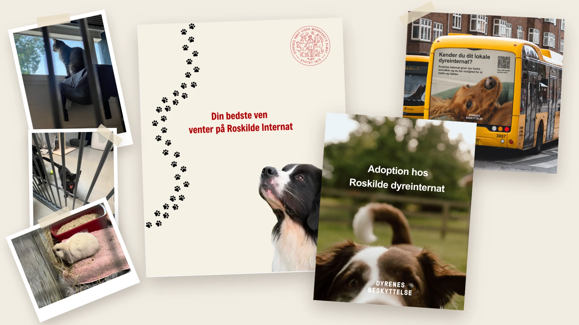 Dyrenes Beskyttelse — Roskilde internat campaign: adoption posters and bus advertising